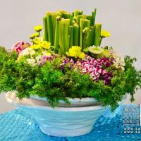 国际花艺师DFA课程盆花设计插花培训作品