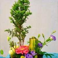 国际花艺师DFA课程自由盆花设计插花培训作品