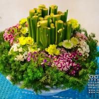 国际花艺师DFA课程盆花设计插花培训作品